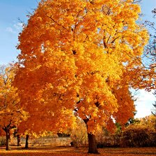Схема вышивки «Осень»
