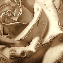 Схема вышивки «роза»