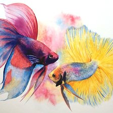 Схема вышивки «рыбки»