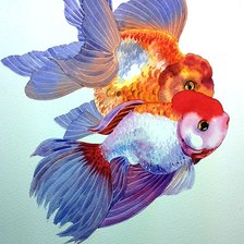 Схема вышивки «рыбки»