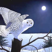 Схема вышивки «сова»