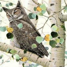Схема вышивки «Сова на осине»