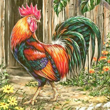 Схема вышивки «Петух»