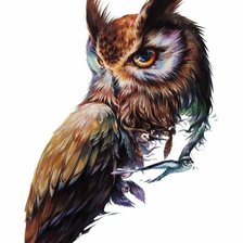 Схема вышивки «Сова»