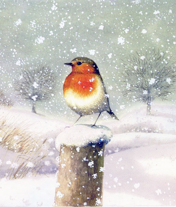 Снегопад - снег, зима, птицы - оригинал