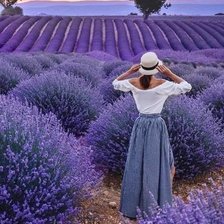 Схема вышивки «Лавандовое поле»