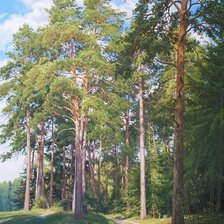 Схема вышивки «пейзаж»