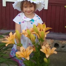 Схема вышивки «Alisa»