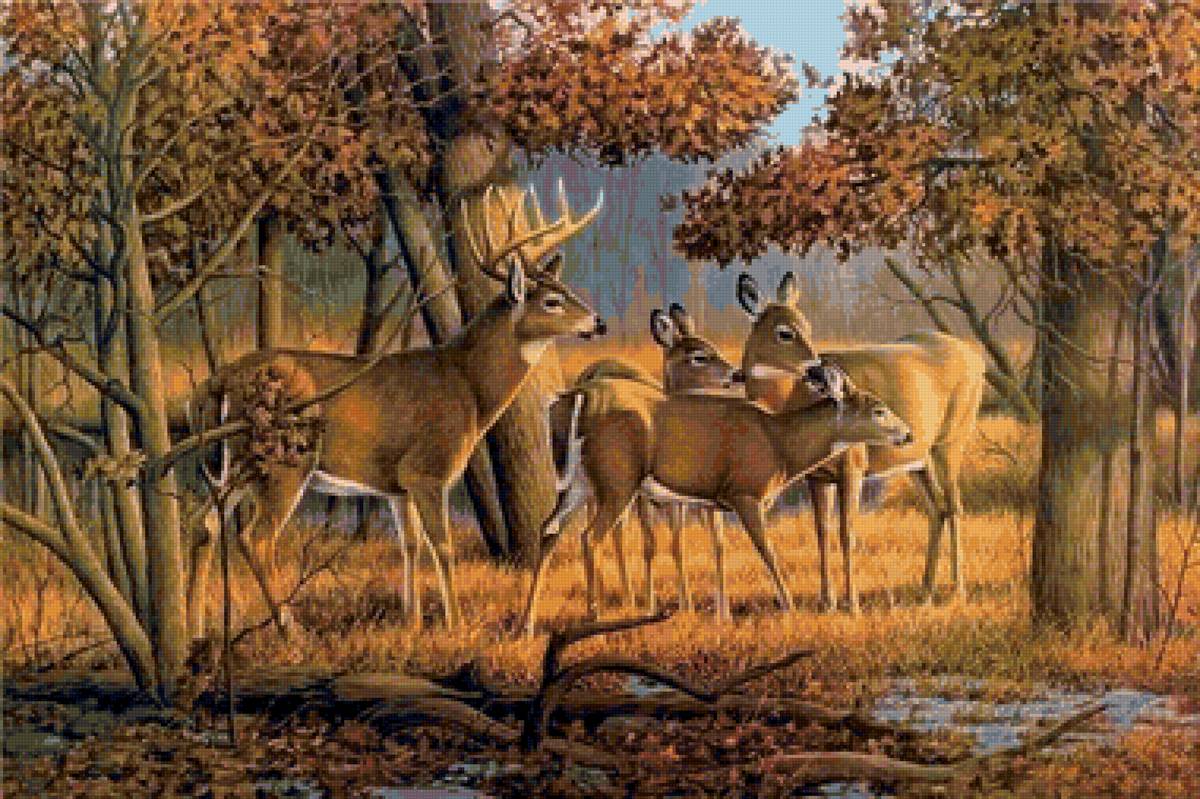 Олени - лес, олени, природа - предпросмотр