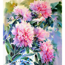 Схема вышивки «пионы»