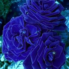 Схема вышивки «№2072880»