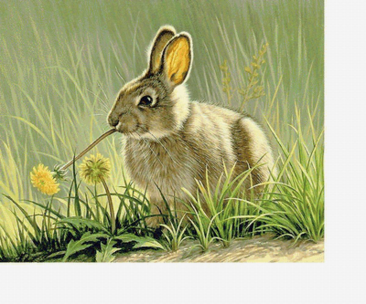 №2072931 - предпросмотр