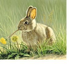 Схема вышивки «№2072931»