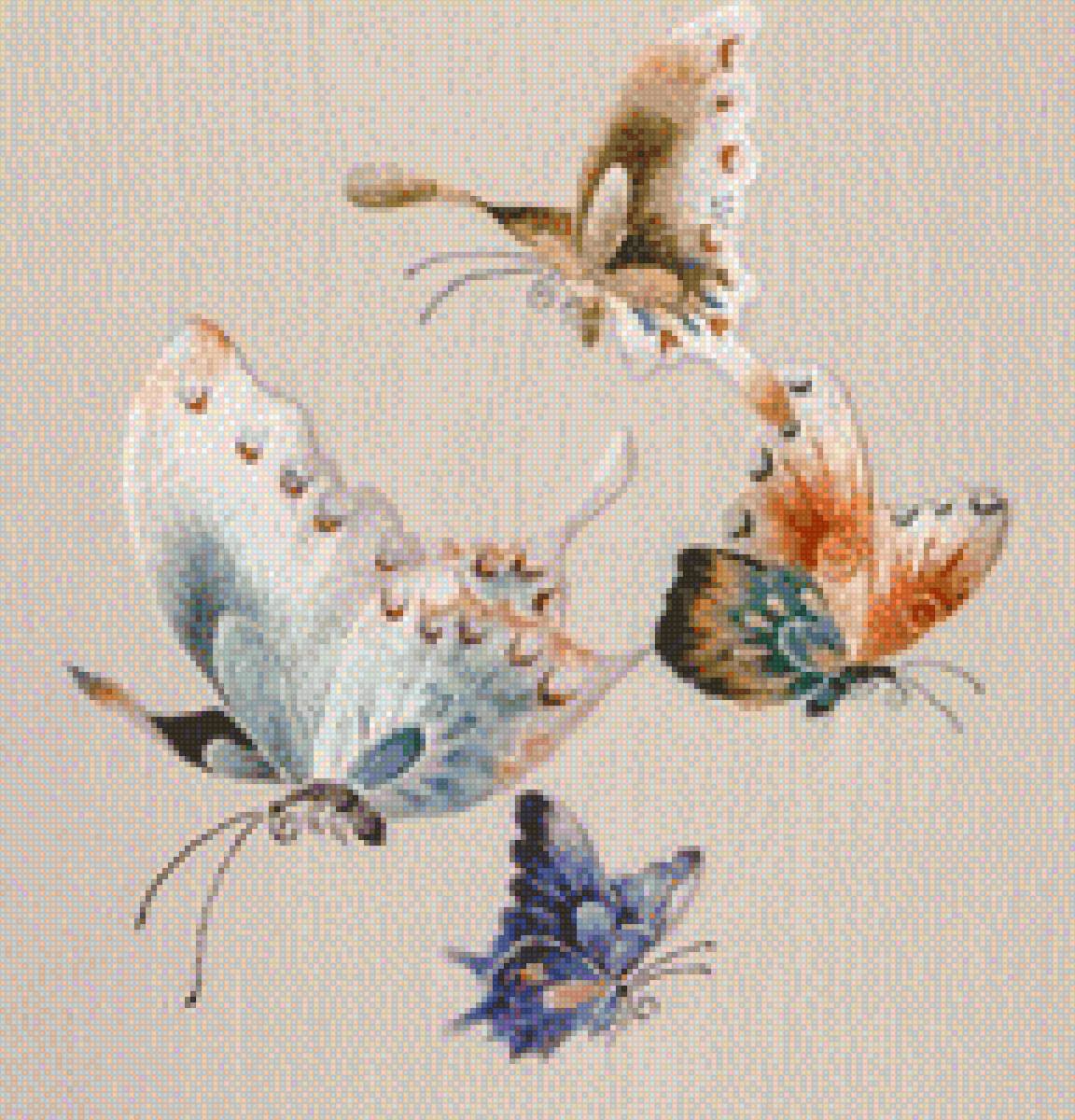 бабочки - бабочки - предпросмотр