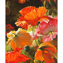 Схема вышивки «Маки.»