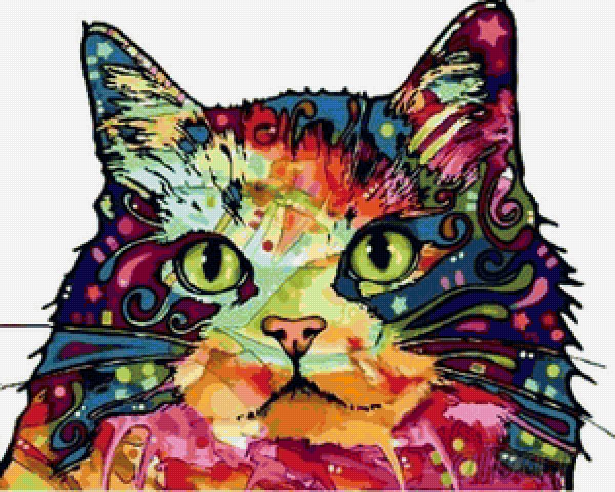 кот - коты, кот - предпросмотр