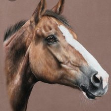 Схема вышивки «л1»