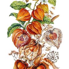 Схема вышивки «панелька»