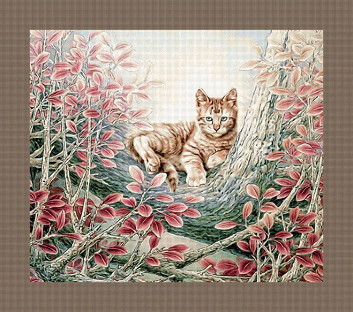 №2074567 - котенок, кот, животные - предпросмотр