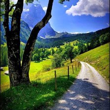 Схема вышивки «природа»