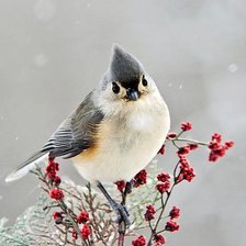 Схема вышивки «зима»
