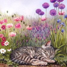 Схема вышивки «сладкий сон»