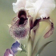 Схема вышивки «панелька»