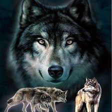 Схема вышивки «волки»