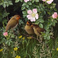 Схема вышивки «птицы»