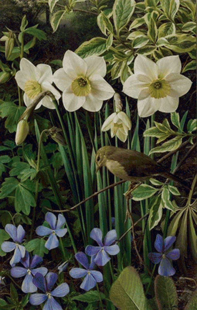 цветы - предпросмотр