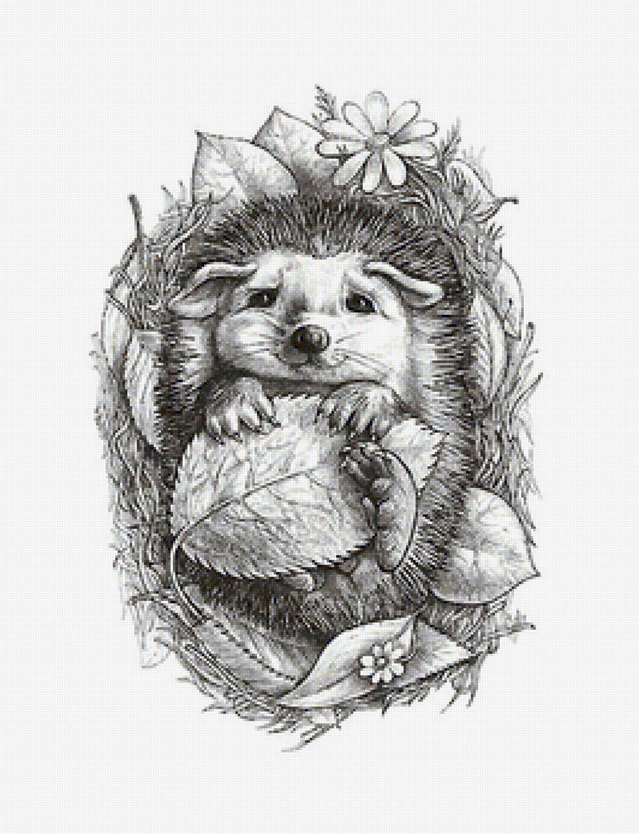 рисунок - предпросмотр