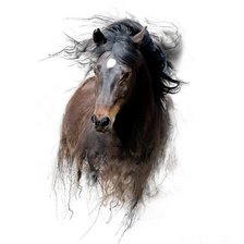 Схема вышивки «лошадь»