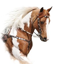 Схема вышивки «лошадь 2»