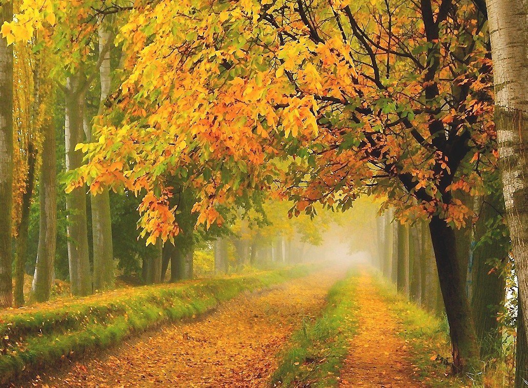 №2076799 - оригинал