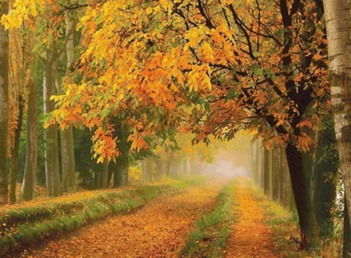 №2076799 - предпросмотр