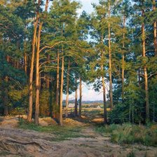 Схема вышивки «пейзаж»