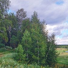 Схема вышивки «пейзаж»