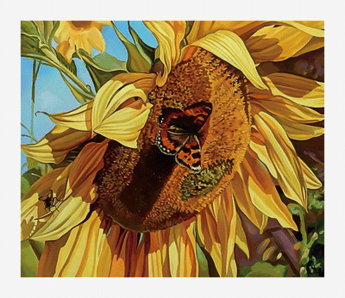 Подсолнух и бабочка. - бабочка, подсолнухи, живопись, цветы - предпросмотр