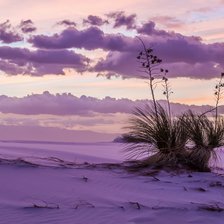 Схема вышивки «Пейзаж пустыни.»
