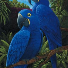 Схема вышивки «Azul Pegatina»