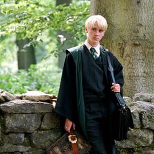 Схема вышивки «Малфой»