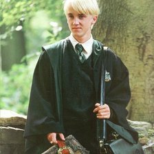 Схема вышивки «Малфой»