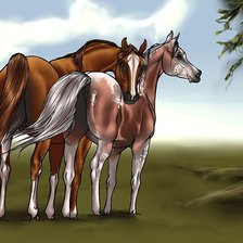 Схема вышивки «кони»