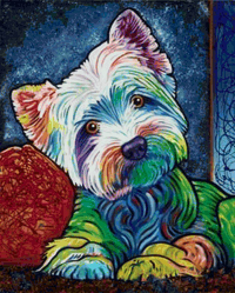 собачка Йорк - собака, йорк - предпросмотр