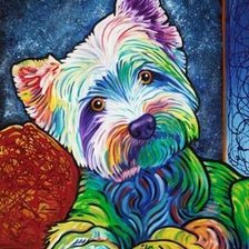 собачка Йорк