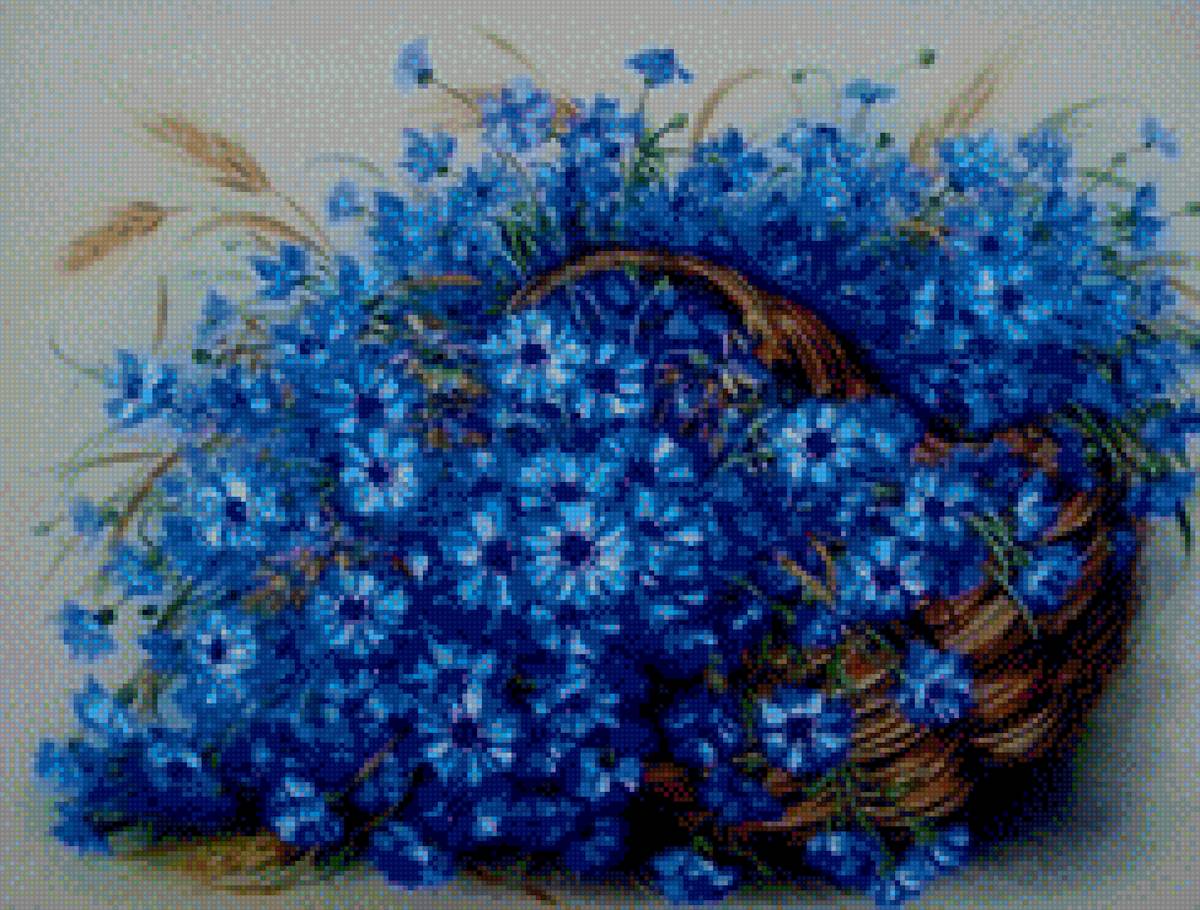 Васильки - васильки, цветы - предпросмотр