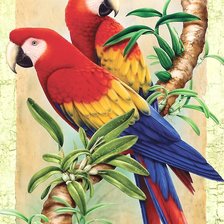 Схема вышивки «попугаи»