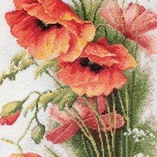 Схема вышивки «МАКИ 2»