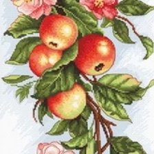 Схема вышивки «ЯБЛОКИ»
