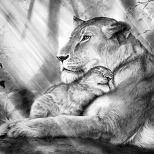 Схема вышивки «№2078255»